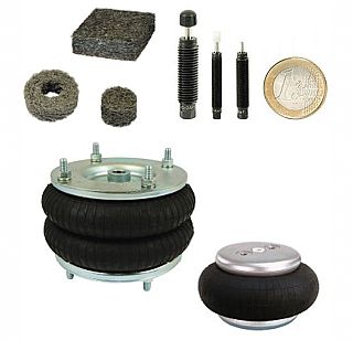 Shock Absorbers (Enlarge)