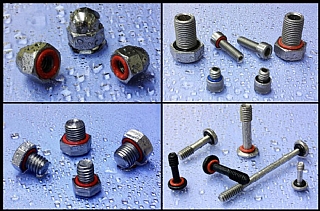 Sealing Screws